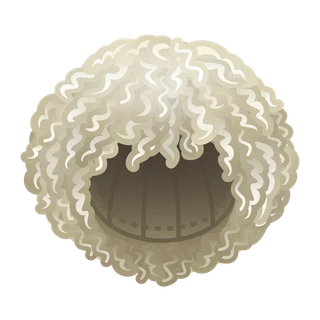 Long Curls