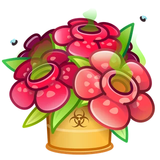 Rafflesia