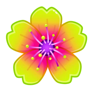 Hibiscus