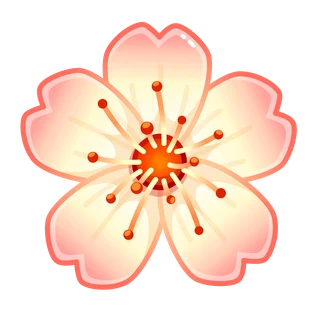 Peach Perfect