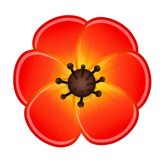 Red Poppy