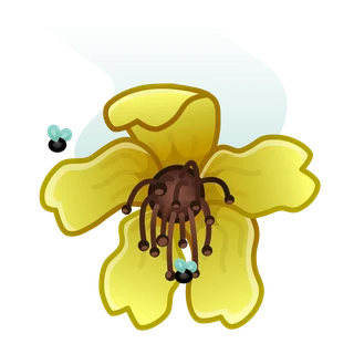 Wilted
