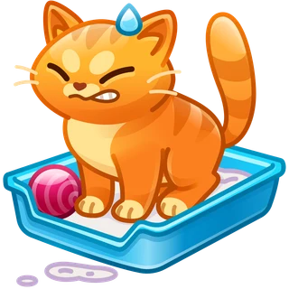 Litter Box