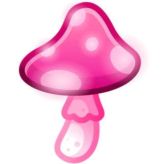 Amour Touch