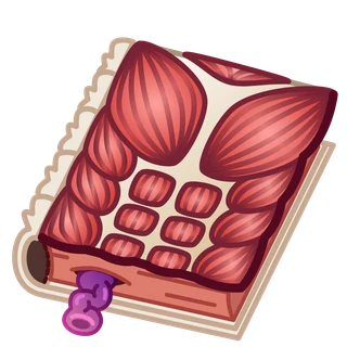 Anatomy